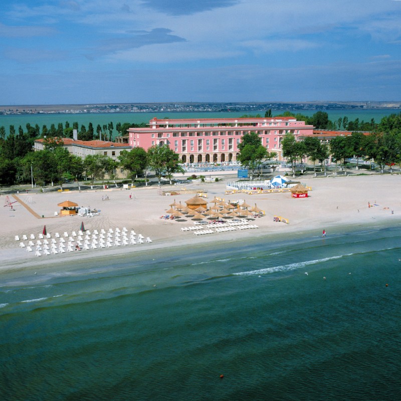 test_aktuell rexmamaia